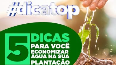 5 dicas para você economizar água na agricultura