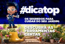 Descubra as ferramentas certas para o seu jardim