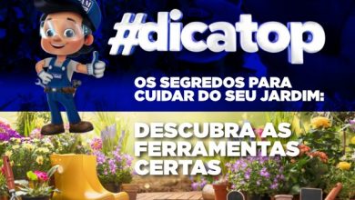 Descubra as ferramentas certas para o seu jardim
